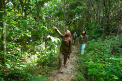 PEREMPUAN PENJAGA HUTAN (DIANA SRIMILANA SARAGIH)