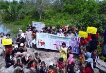 Warga Desa Kwala Langkat Gelar Aksi Restorasi Mangrove
